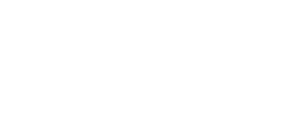 P448 Sneakers