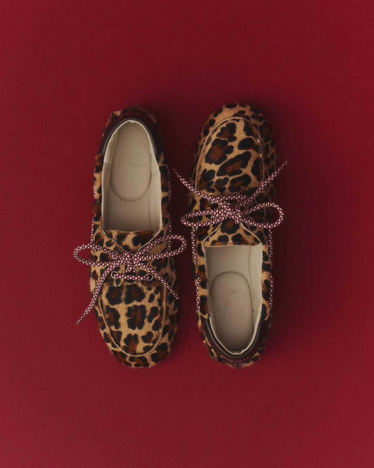 Antibes Leopard - Image 4