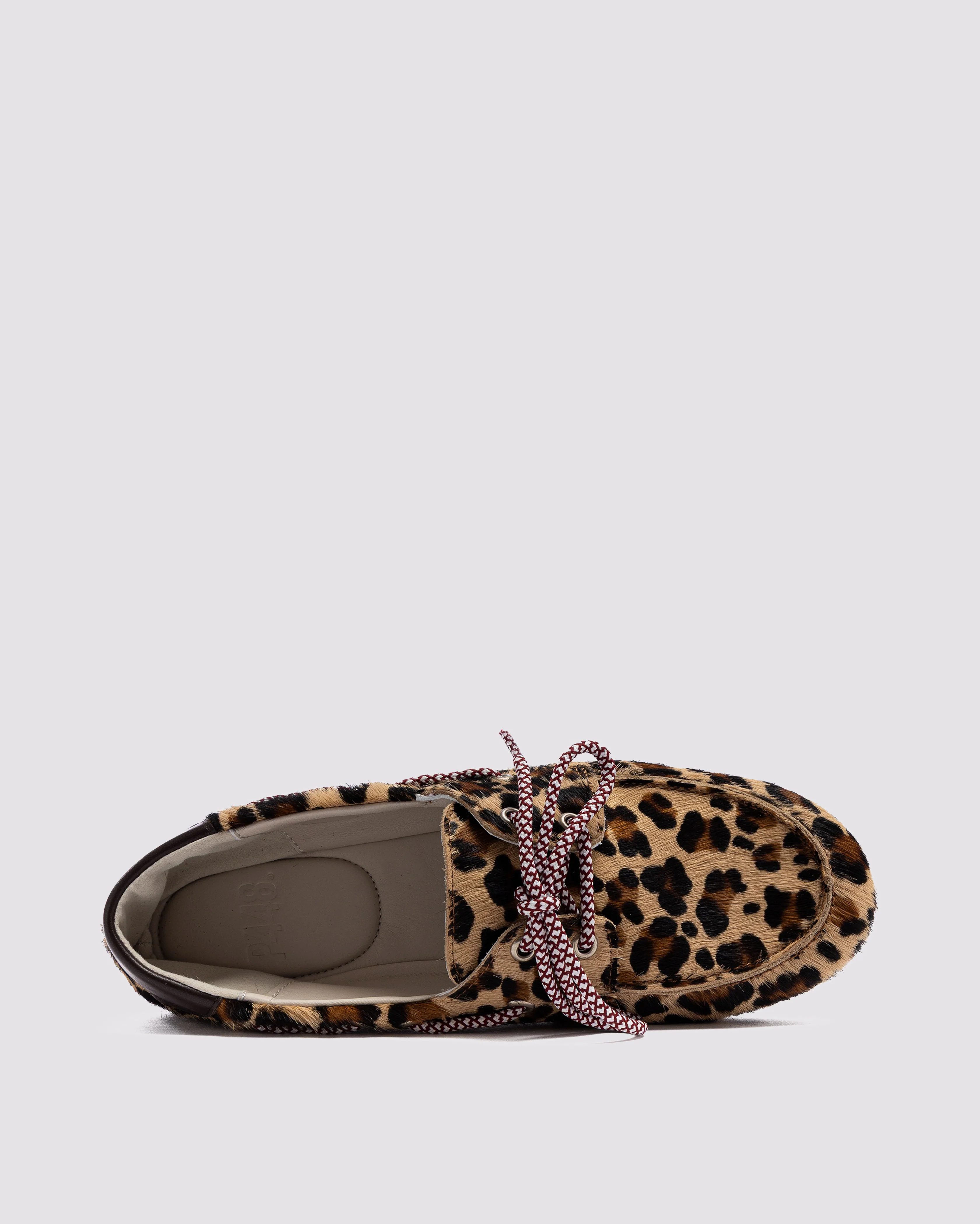 Antibes Leopard - Image 6